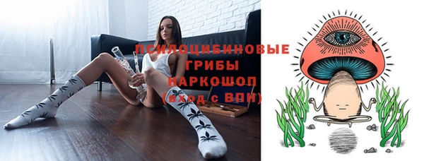 ECSTASY Абаза
