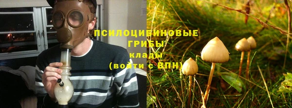 ешки Михайлов